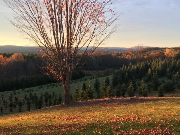 Vermont in Fall View
